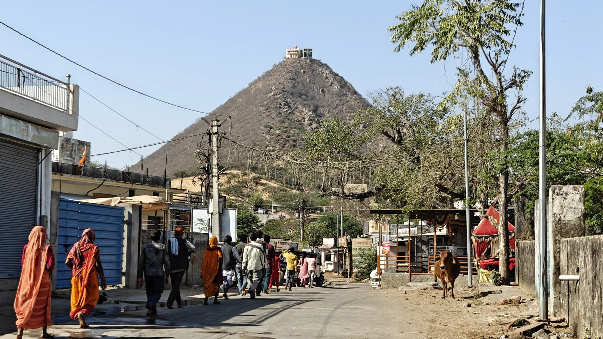 Rajasthan and Gujarat - India 2025
