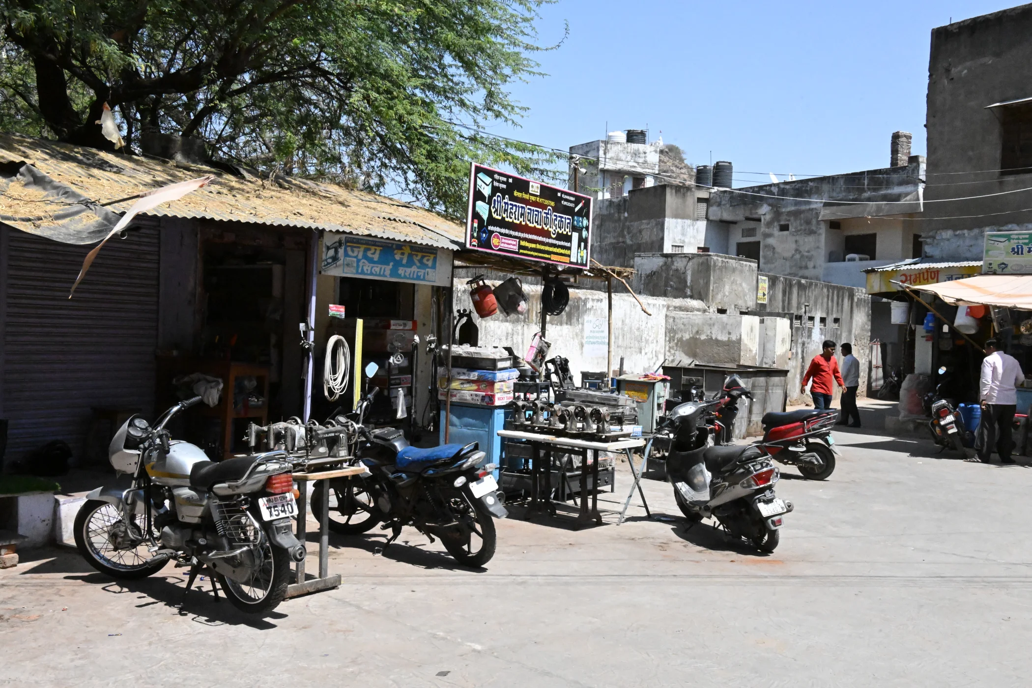 Rajasthan and Gujarat - India 2025